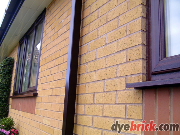 Brick Tint 006